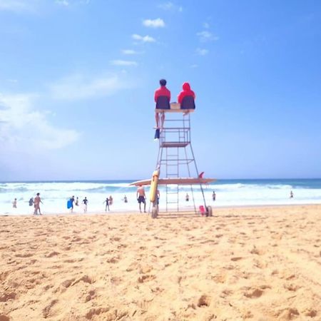Superbe Studio A 8Mn En Voiture De La Plage Linxe エクステリア 写真