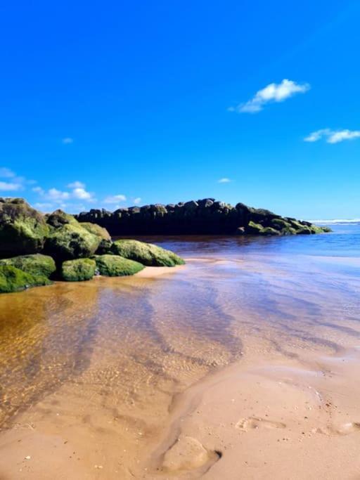 Superbe Studio A 8Mn En Voiture De La Plage Linxe エクステリア 写真