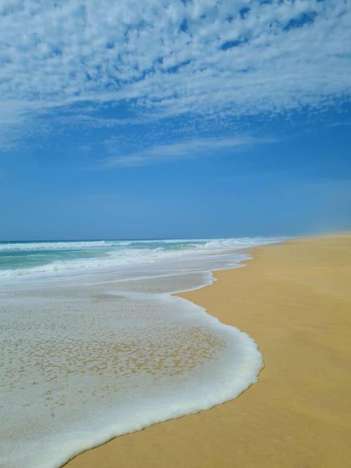 Superbe Studio A 8Mn En Voiture De La Plage Linxe エクステリア 写真